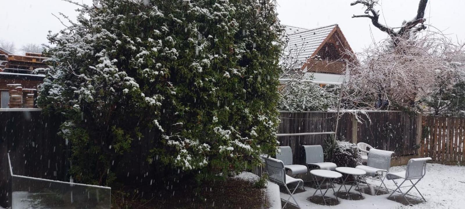 Villa Scs Naehe Wiener Neudorf Dış mekan fotoğraf